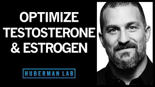 The Science of How to Optimize Testosterone amp Estrogen [upl. by Eey998]