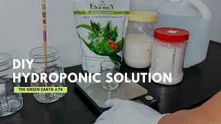 How to Make Your Own Hydroponic Solution at Home  DIY Hydroponic Nutrients [upl. by Glynda915]