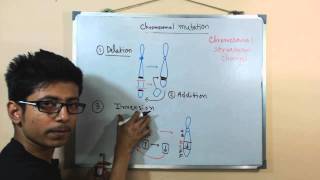 Chromosomal mutations  deletion mutation [upl. by Tanya]