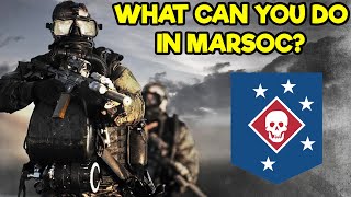 WHAT ARE THE DIFFERENT JOBS OF MARINE RAIDERS MARSOC [upl. by Beora]