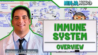 Immunology  Immune System Overview [upl. by Calderon]