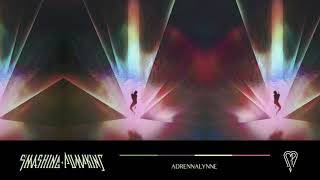 The Smashing Pumpkins  Adrennalynne Official Audio [upl. by Demetre409]