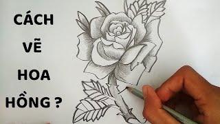 Vẽ Hoa Hồng bằng bút chì  How to draw a Rose [upl. by Raseda447]