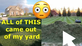 How to Dethatch a Lawn a Different Way [upl. by Adelice]