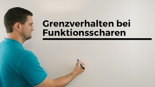 Grenzverhalten bei Funktionsscharen Parameterfunktionen Fallunterscheidung  Mathe by Daniel Jung [upl. by Alaehs907]