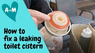 How to change toilet cistern seat washer Caroma dual flush [upl. by Wohlert10]