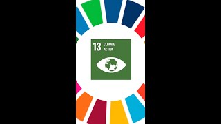 What are the UN Sustainable Development Goals [upl. by Ragan]