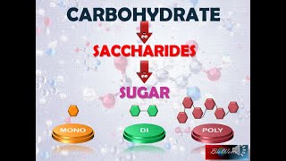 Biology STPM Carbohydrate Part 1 Monosaccharides [upl. by Asek]