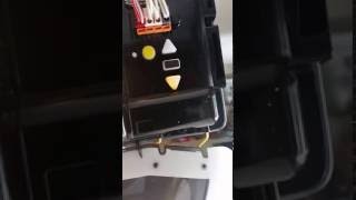 How To Program Your Chamberlain Garage Door Opener Super Easy [upl. by Huber]