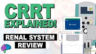 Renal System Review  CRRT Explained [upl. by Marriott66]