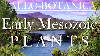 The Evolution of the early Mesozoic Plants [upl. by Whallon]