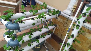 Water Pump Setup For Hydroponic System  Vertical hydroponic system Part 2 [upl. by Burford]