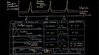 Instaurer linsuline en 5 étapes   Partie 1  Docteur Synapse [upl. by Bud507]