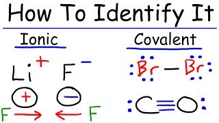 Ionic and Covalent Bonding  Chemistry [upl. by Rockie474]