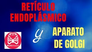 Retículo endoplásmico y aparato de Golgi [upl. by Attenyt]