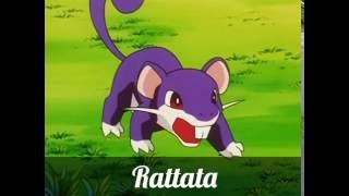 Rattata evolution Know about your pokemon [upl. by Chlori124]