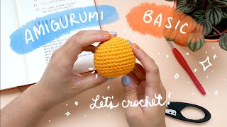 Amigurumi Basics for Beginners Amigurumi 101  Amigurumi Tutorial [upl. by Jorgan738]