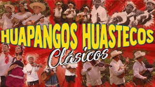 CLÁSICOS HUAPANGOS HUASTECOS [upl. by Hanaj]