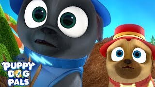 Meeting Ol Snapper  Puppy Dog Pals  Disney Junior [upl. by Timmy]