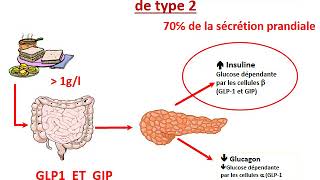 FMPM MOOCs  Traitement du diabétique de type 2  Pr G El Mghari [upl. by Igenia]