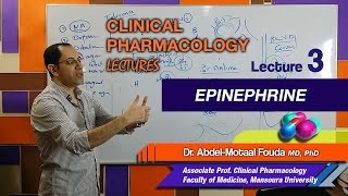 Autonomic Pharmacology Ar  Lec 03  Epinephrine [upl. by Goff]