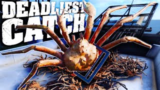 Deadly King Crab Fishing On The Bering Sea  Crab Fishing Simulator  Deadliest Catch The Game [upl. by Trammel814]