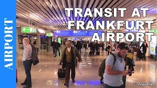 TRANSIT WALK AT FRANKFURT Airport FRA Terminal 1  Connection Flight Transfer Arriving amp Departing [upl. by Alba]