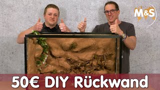 50€ Terrarium Rückwand bauen  DIY Anleitung  Reptil TV [upl. by Soiritos]