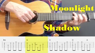 Moonlight Shadow  Mike Oldfield  Fingerstyle Guitar Tutorial Tab [upl. by Narbig819]