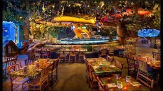 Rainforest Cafe Niagara Falls  Kids Favorite Cafe [upl. by Annenn]