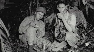 National Navajo Code Talkers Day [upl. by Anerbes512]