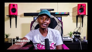 How to make an Amapiano beat in 10 minutes S3E02 In The Studio with Tribesoul [upl. by Esilehs]