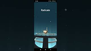 Rattata  Raticate Pokemon Go [upl. by Nahem270]