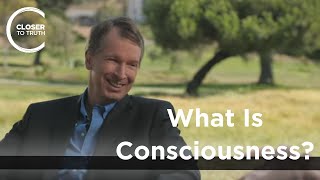 Donald Hoffman  What is Consciousness [upl. by Eellehs]