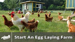 How to Start A Pastured Poultry Egg Farm  AMA S8E1 [upl. by Earej492]