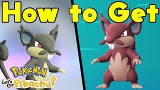 How to Get Alolan Rattata  Shiny Alolan Rattata in Lets Go Pikachu [upl. by Cornish]