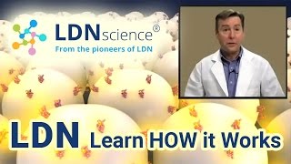 LDNscience® Presents  How LDN Low Dose Naltrexone Works [upl. by Zeba]