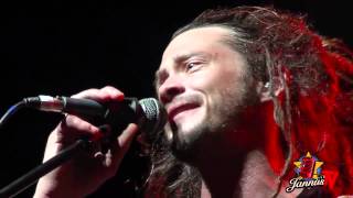 Soja jannus live 2013 [upl. by Ahsenrat]