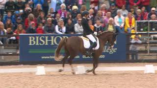 Moritz Treffinger GER Wins Freestyle Dressage to Music [upl. by Jessi]