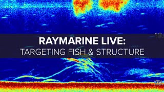 Raymarine Live Targeting Fish and Structure with Sonar [upl. by Comras740]