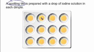 The starch amp amylase experiment [upl. by Elleval]